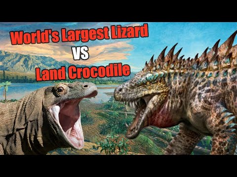 Could Komodo Dragons Survive the Triassic? - When Apex Meets Ancient