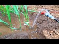 How To Make Mini Water Pump Science Project