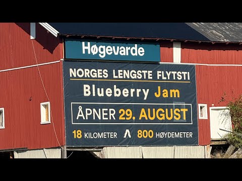 My first ride in Norway’s longest flow trail (1 out of 2) Blueberry Jam in Høgeverde Flå, Norway