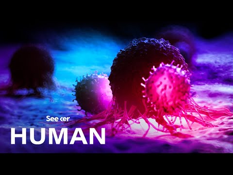 This Is How Your Body Builds Immunity