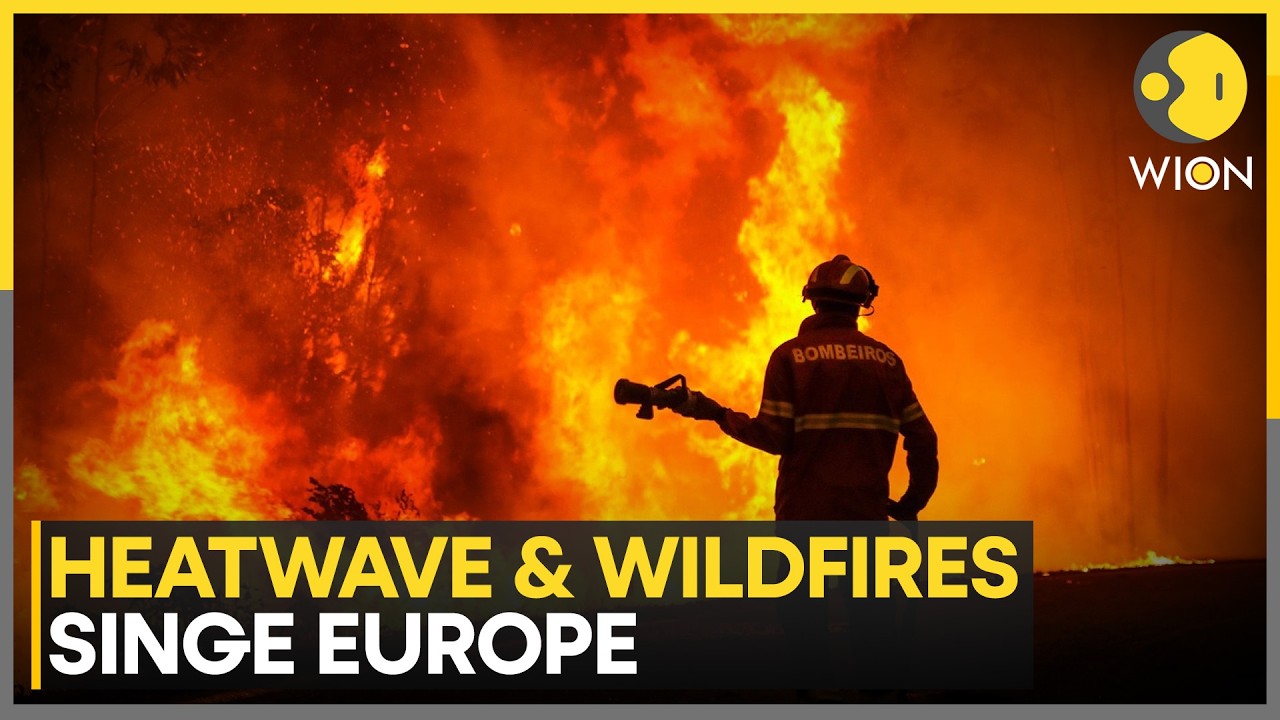 Europe Heatwave: Over 500,000 Hectares of Woodlands Gutted as Heatwave Ravage Europe | WION