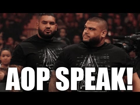 Digital Assets in Wrestling and MMA — Is it Time for Fan Tokens to Enter the Ring?