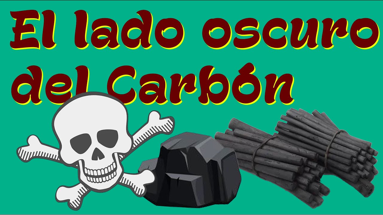 Carbón Vegetal Vs Carbón Mineral