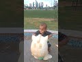 Cute Baby Moy Moy Moy Funny Viral
