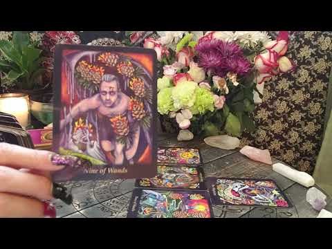 Daily Love All Signs February 23, 2019 - Time Stamps In Description