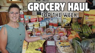 $275 FOR A FAMILY OF 7! | GROCERY HAUL & MEAL PLAN