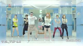 PSY - Gangnam Style Tim Ismag Remix (CUT) Dub step remix 2013 TS Video RMX