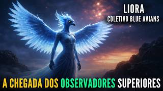 🔴LIORA - Coletivo Blue Avians |  INCRÍVEL‼️ BLUE AVIANS Já Estão Monitorando a Transição da Terra  |