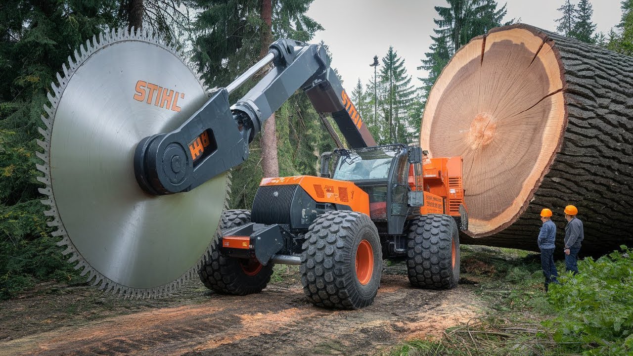 EXTREMELY DEADLY Chainsaw Tree Cutting Machines | MASSIVE Stump Removal Excavator #1