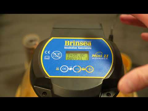 Wichtige Einstellungen am Brinsea Mini / Maxi 24 Advance Motorbrüter - Temperatur und  Feuchtigkeit