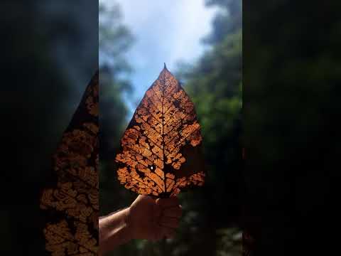 Mocoa Putumayo! #colombia #travel #mocoa #amazonia