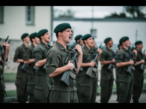 Angelobung 4. Gardekompanie ET 5/20 in Horn