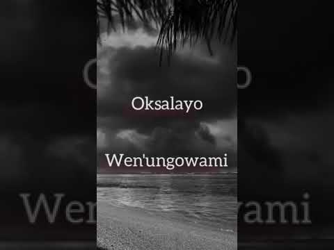 Sdala B   Thando Lwami Remixft  Zanothando Official Lyrics Video