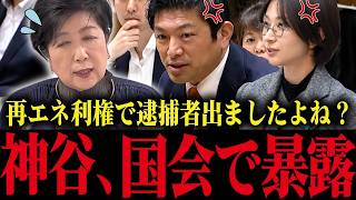 【小池百合子】※国会中継の中、神谷宗幣が衝撃の利権を暴露...！国会が凍りつく...【さとうさおり 小池都知事 カイロ大学 学歴詐称疑惑】