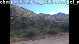 cheap trick cheap trick scent of a woman xxl