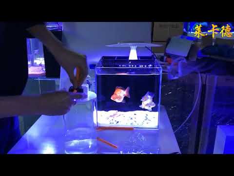 Red Starfish automatic water-refiller MT-02/04