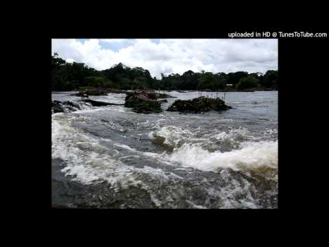 Ronald Esseboom - Walk Alone