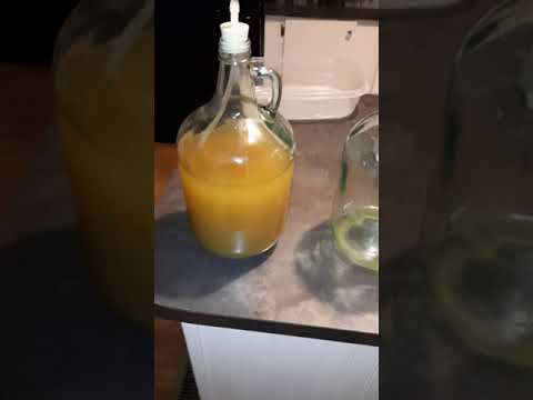 Degassing Mead