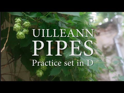 Anistratov Uilleann pipes practice set in concert D (wide bore)