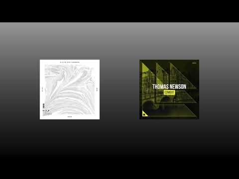 Gods vs. Combat (Steve Angello Mashup) [YD Remake]