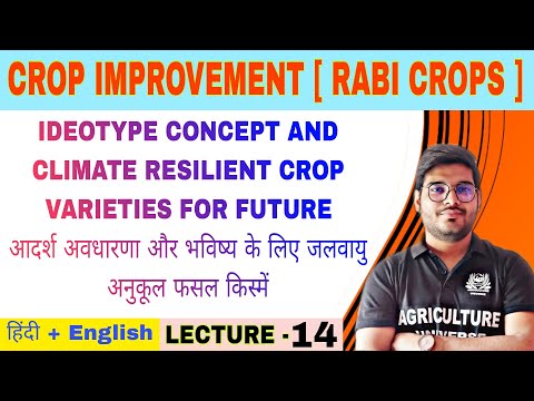 Crop Improvement rabi crops syllabus analysis bsc av 6th semester
