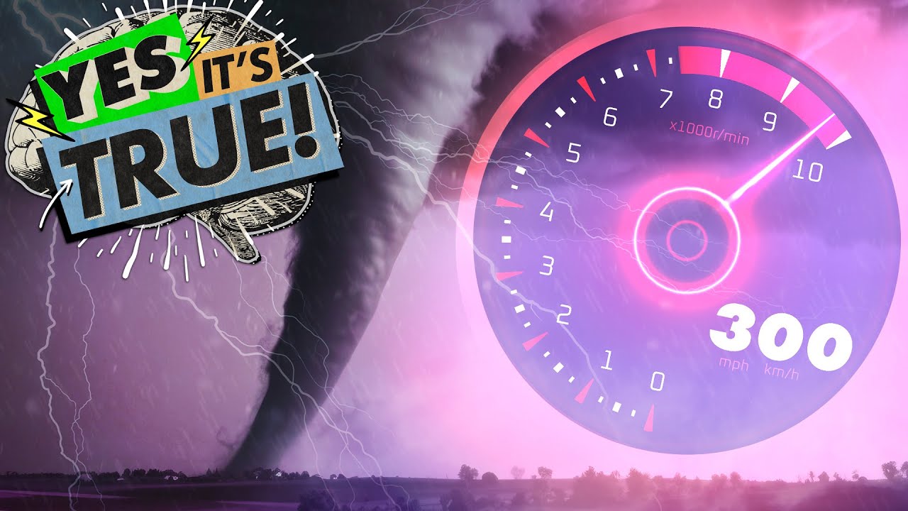 ⛈️ We Give You the CRAZIEST WEATHER FACTS 🌪️ | YES IT'S TRUE