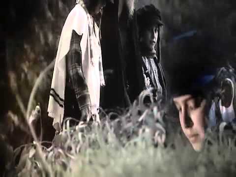 מיכאל שניצלר