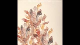 The Good In Everyone - Shambolic