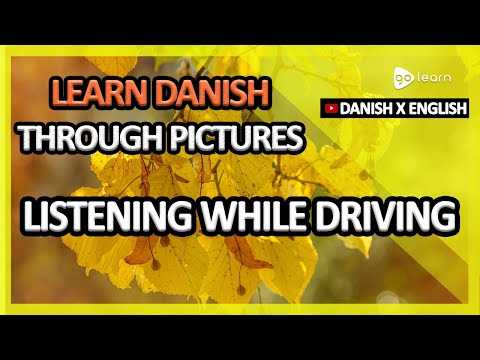 Learn Danish Through Pictures |Danish Vocabulary Listening While Sleeping | Golearn
