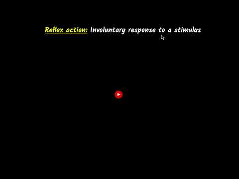 Reflex action | Control & co-ordination | Class 10 Biology | Khan Academy