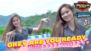Download lagu DJ OKEY ARE YOU READY WONG E E E E WONG E E E E feat BONGO BARBAR // SLOW BASS HOREGG VERSI THAILAND mp3