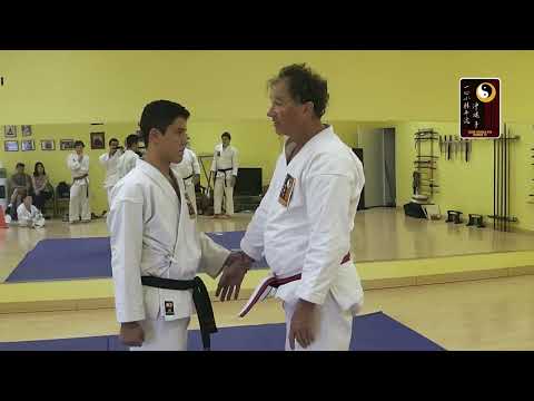 Breaklocks: Wrist Grip-Normal Technique 1
