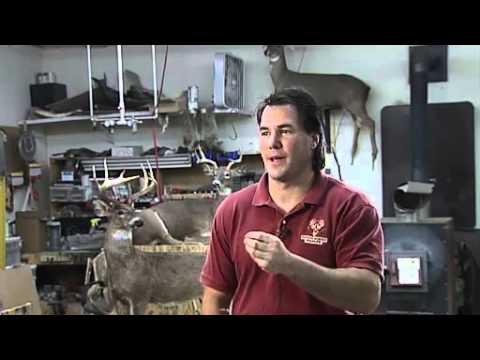 Robot Decoys | In Wisconsin