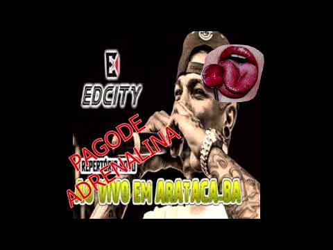 EDCITY | AO VIVO EM ARATACA-BA (naquela pegada) #edcity #shorts