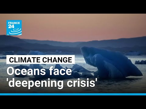 UN calls for 'urgent action' over oceans' 'deepening crisis'