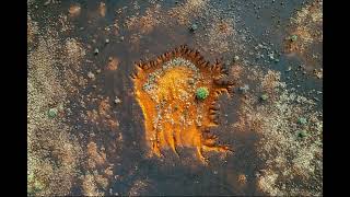 Klaus Schulze, My Ty She, 2000