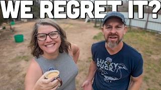 We Quit the Milk Cow Life — Here’s What It Did to Our Homestead