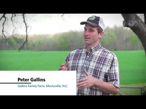 Food Lion: Composting