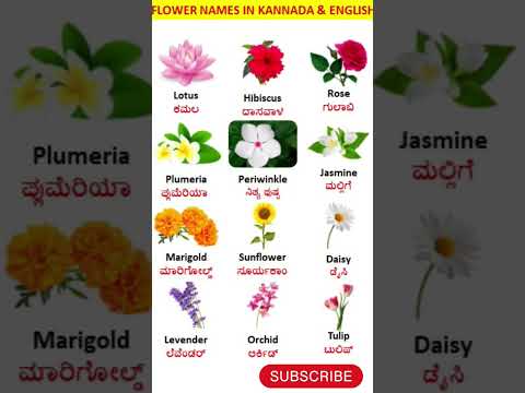 Flowers name in English and Kannada//flowers vocabulary//ಇಂಗ್ಲಿಷ್ ಮತ್ತು ಕನ್ನಡದಲ್ಲಿ ಹೂವುಗಳ ಹೆಸರು