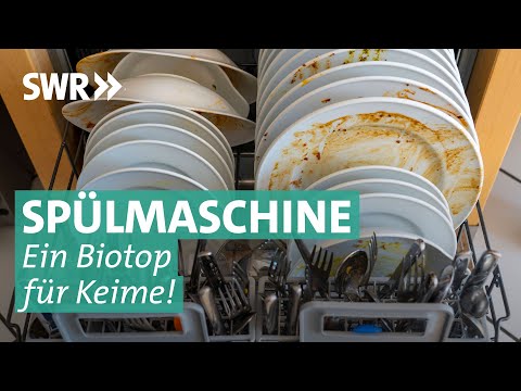 Hefepilze und Fäkalbakterien: Ekelalarm in der Spülmaschine | Marktcheck SWR