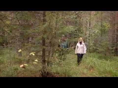 Metsäsuunnittelu – UPM Metsä