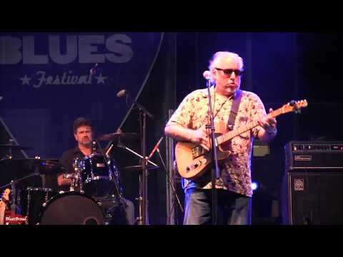 THE NIGHTHAWKS with BOB MARGOLIN • My Whole Life • NY State Blues Fest 7/7/17