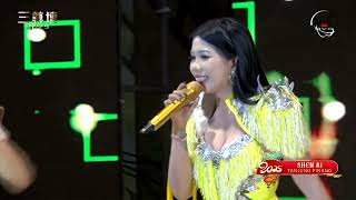 Download lagu Shen Ai - Qiao He 巧合 mp3