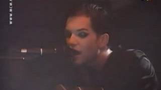 07 Blue American _ Placebo MCM Cafe