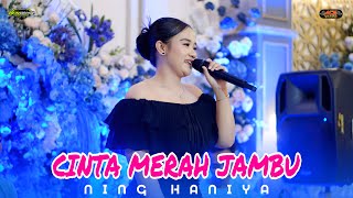 Download lagu CINTA MERAH JAMBU || NING HANIYA || ACS PRO AUDIO mp3 Download lagu CINTA MERAH JAMBU || NING HANIYA || ACS PRO AUDIO mp3