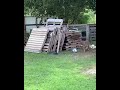 Dog And Chicken Chase Each Other