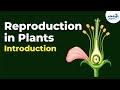 Introduction To Reproduction In Plants Don T Memorise