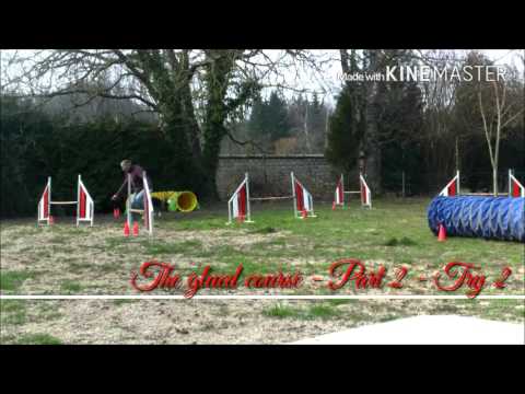 Jimson LPA -  2016 02 28