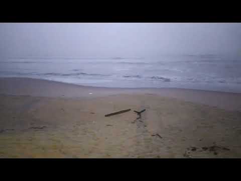 Quarta-feira inicia com nevoeiro e calor em Balneário Barra do Sul SC 