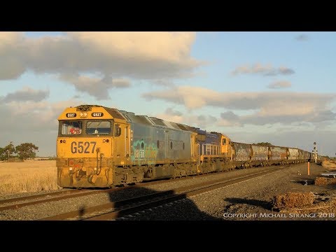 Pacific National Grain on Broad Gauge (31/1/2018) - PoathTV Australian Trains & Railways